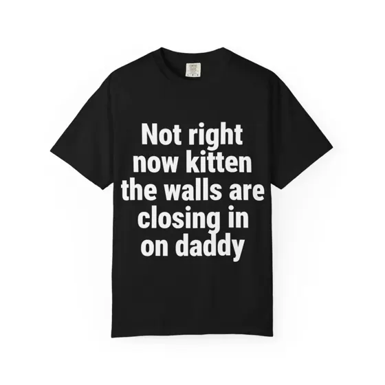 Not Right Now Kitten, The Walls Are Closing In On Daddy tee